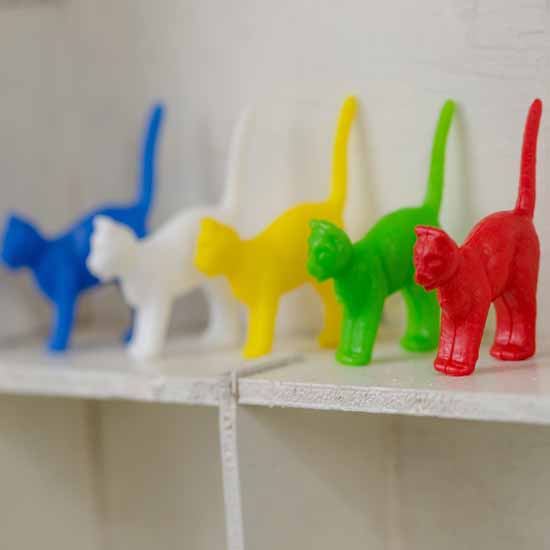 Family of 5 colourful cats