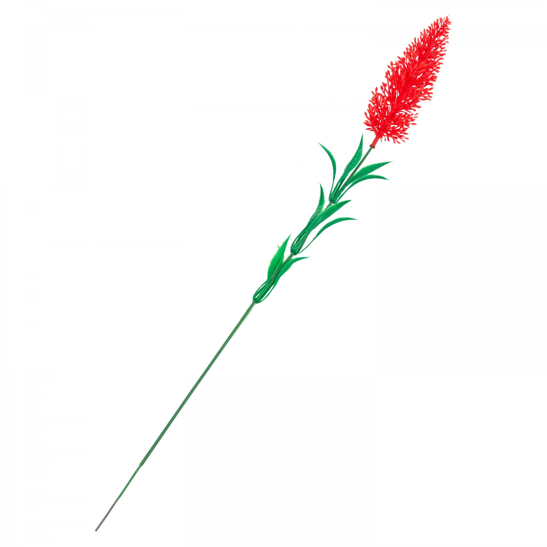 brush flower - red