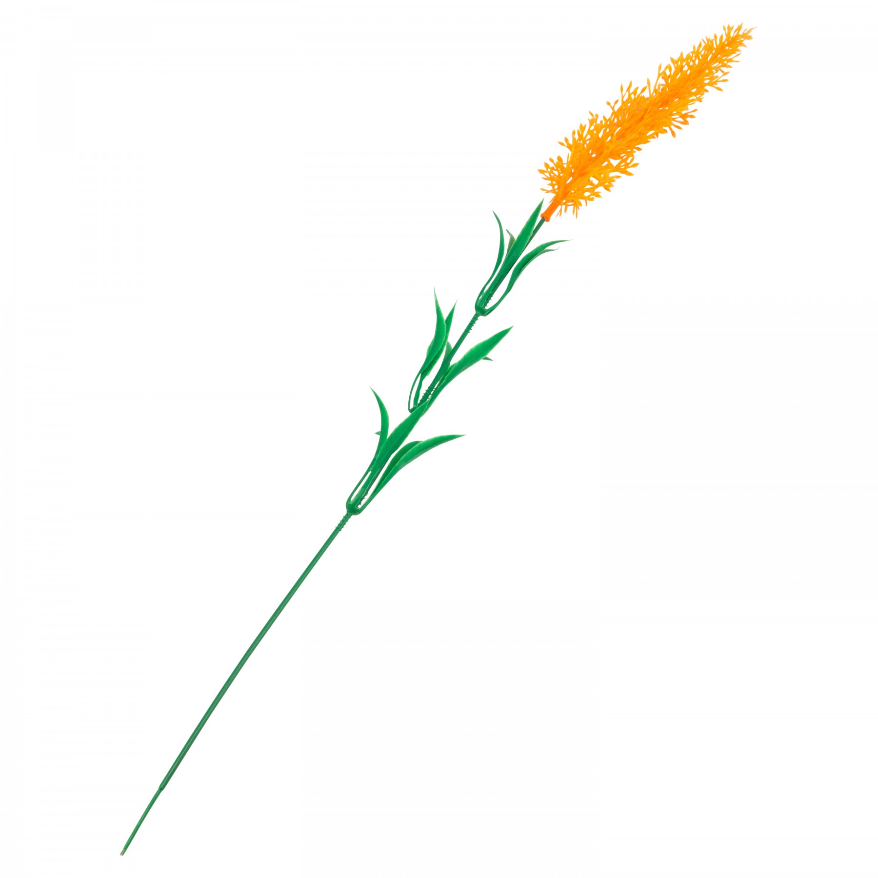 brush flower - orange