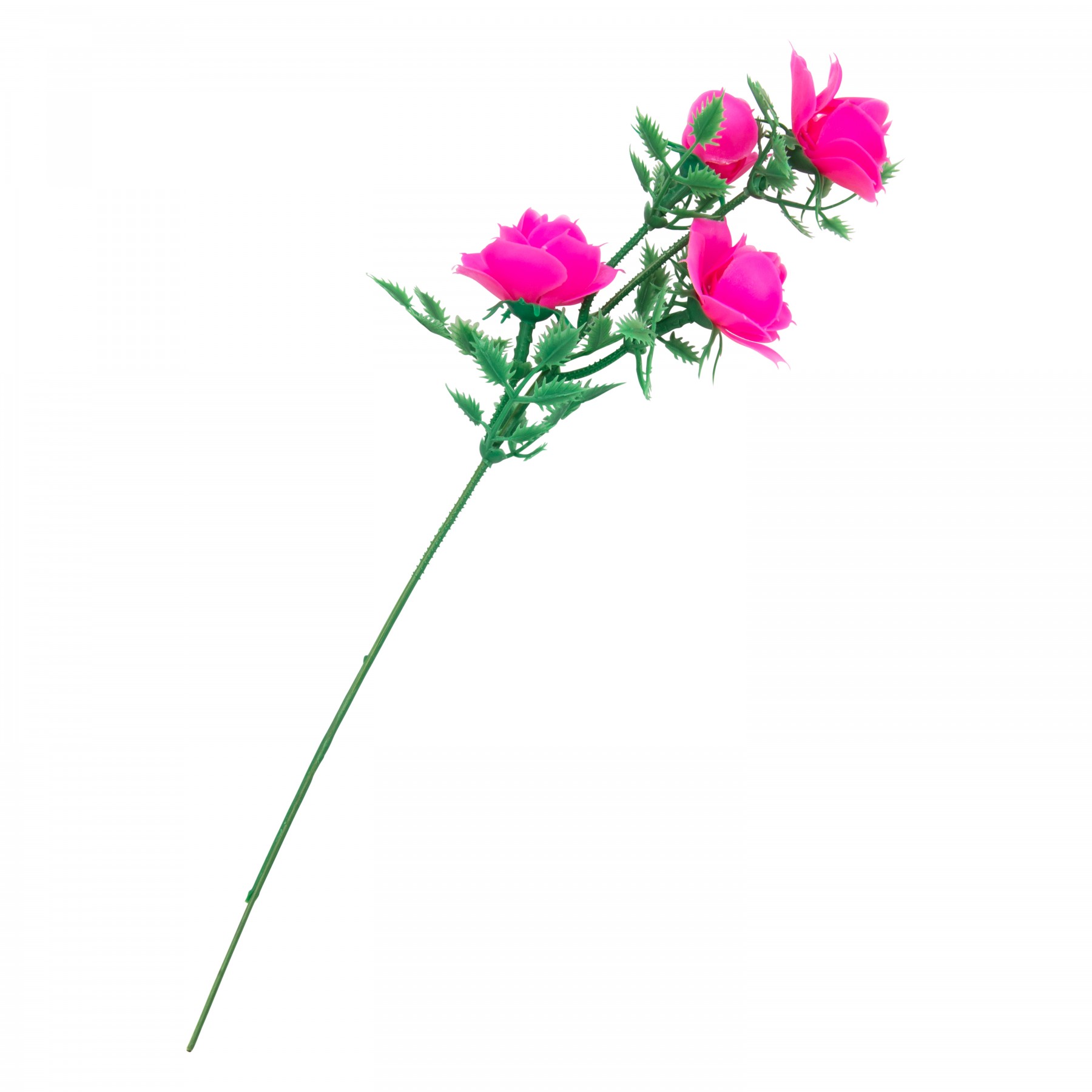 roses