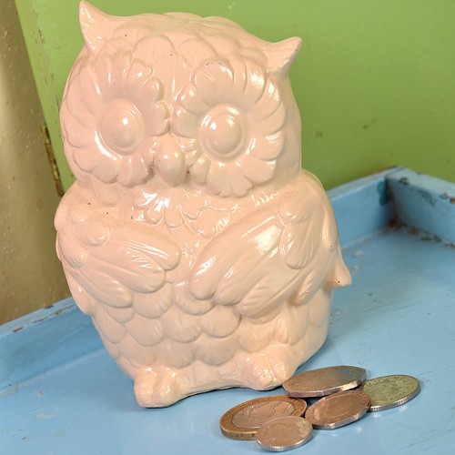 Owl money box- creamy vanilla