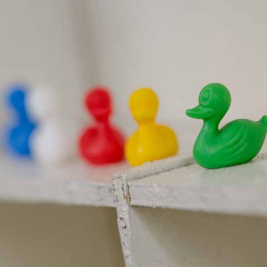 family of 5 colourful little ducks