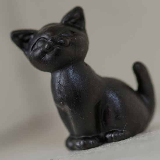 lucky little black cat