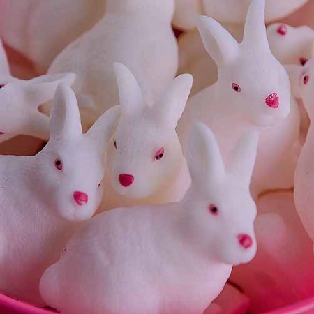 bob rabbit small set of 6