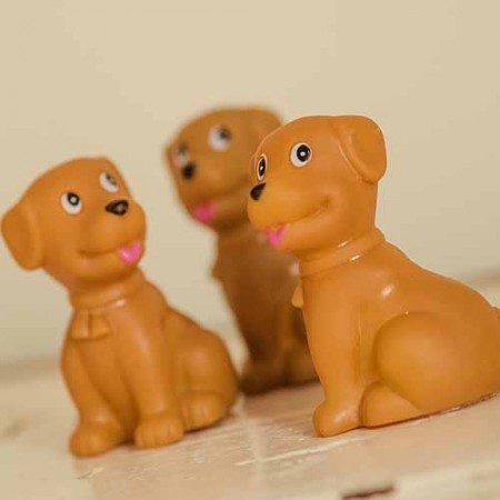 meg dog set of 6