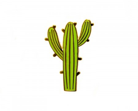 cactus enamel pin