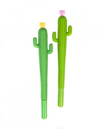 cactus in flower pen